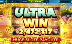 Dashboard program loyalitas jpnation slot dengan rincian poin dan tier membership
